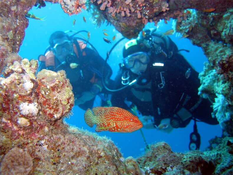 Diving in Phuket