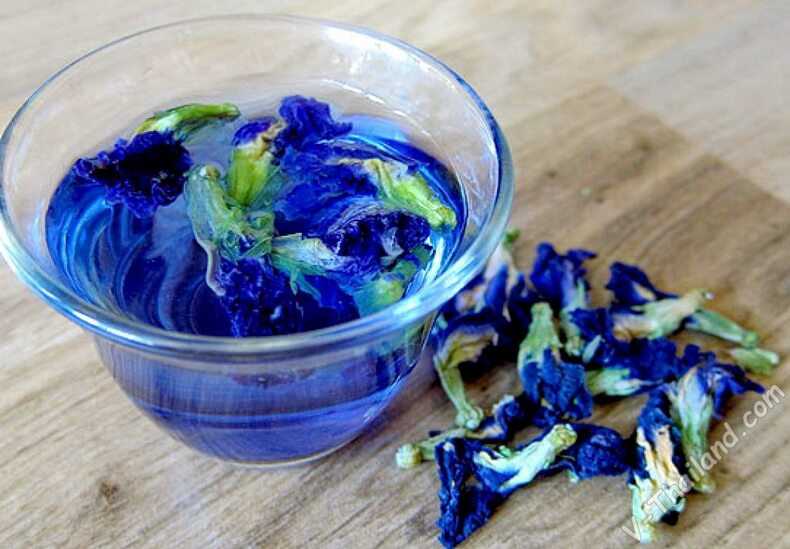 Bring Blue Tea from Thailand