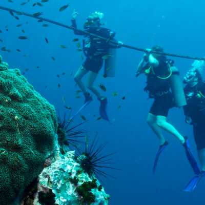 Ko Tao Island Diving