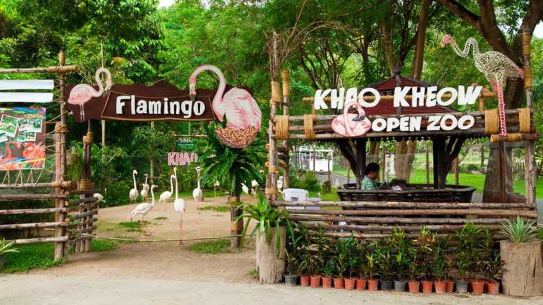 Khao Kheow Pattaya Zoo Tour