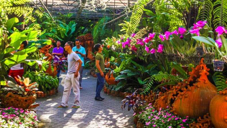 Orchid Garden in Nong Nooch Park